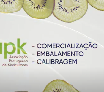Video - Comercialização - calibragem e embalamento comercializa-ccedil-atilde-o-calibragem-e-embalamento.png
