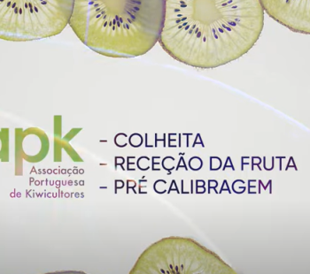Video - Colheita, receção da fruta e pré calibragem video-colheita-rece-ccedil-atilde-o-da-fruta-e-pr-eacute-calibragem.png