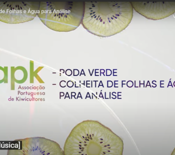 Video - Poda verde, colheita de folhas e água para análise video-poda-verde-colheita-de-folhas-e-aacute-gua-para-an-aacute-lise.png